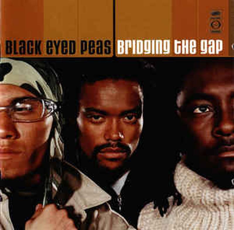 bridging-the-gap