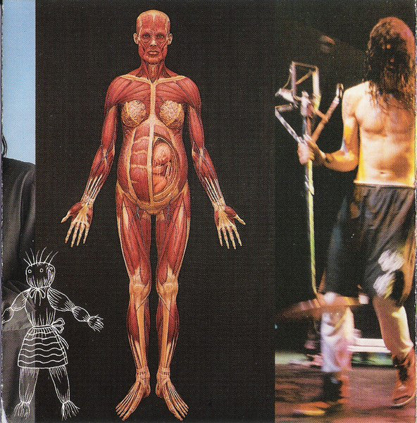 in-utero