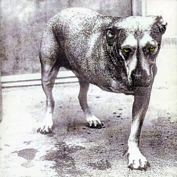 alice-in-chains