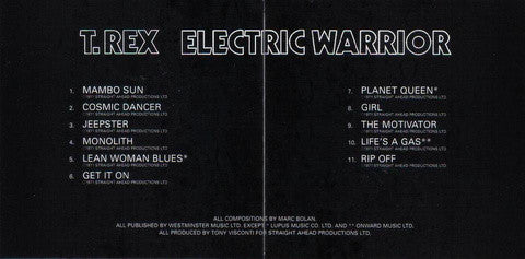 electric-warrior