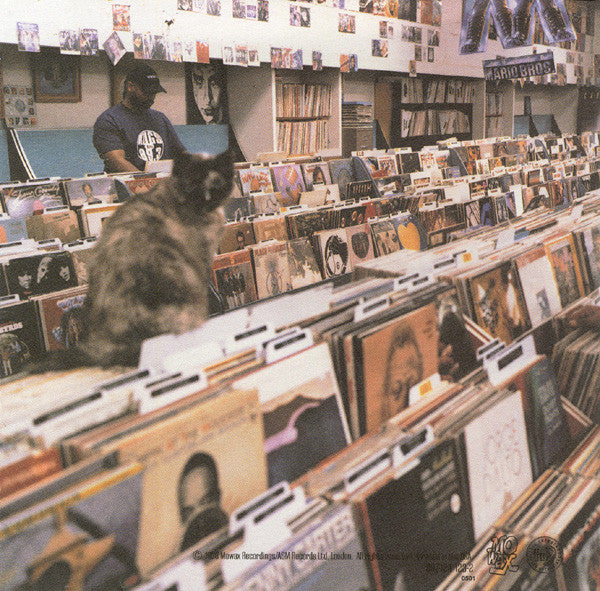 endtroducing.....