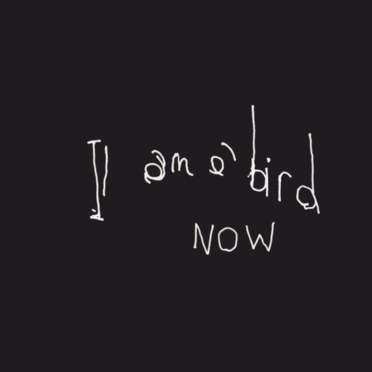 i-am-a-bird-now