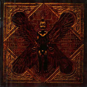 live-bait-for-the-dead