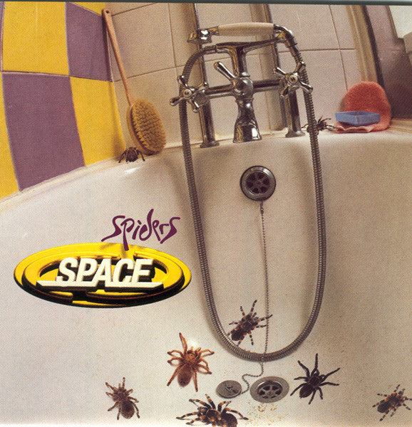 spiders