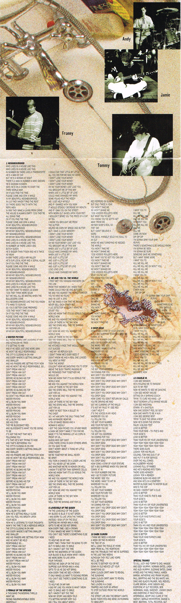 spiders