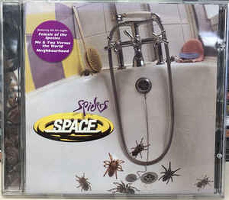 spiders