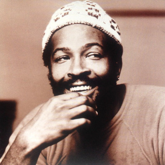 the-best-of-marvin-gaye---volume-2---the-70s