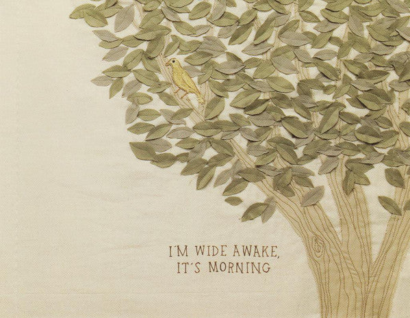 im-wide-awake,-its-morning