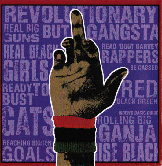 rbg-(revolutionary-but-gangsta)