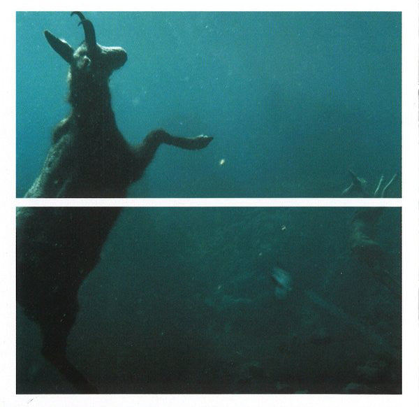 les-revenants