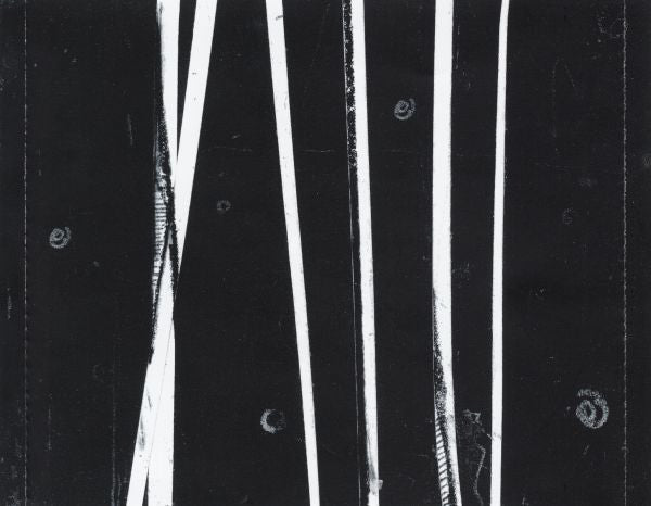 wind-in-the-wires