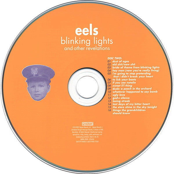 blinking-lights-and-other-revelations