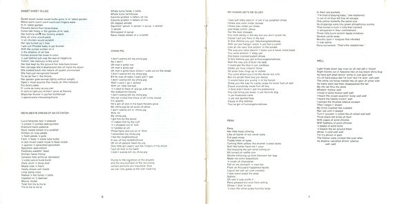 trout-mask-replica