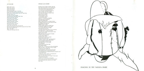 trout-mask-replica