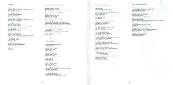 trout-mask-replica