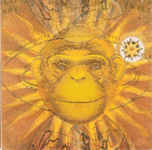 give-a-monkey-a-brain...-and-hell-swear-hes-the-center-of-the-universe