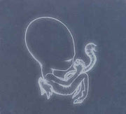 ágætis-byrjun