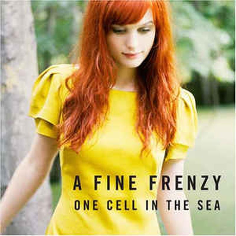 one-cell-in-the-sea