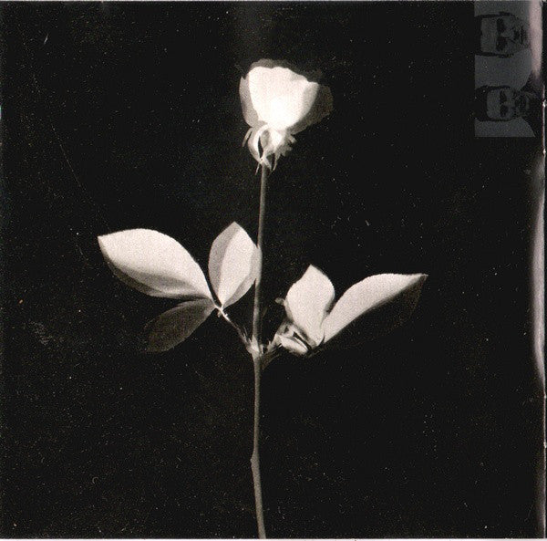 violator