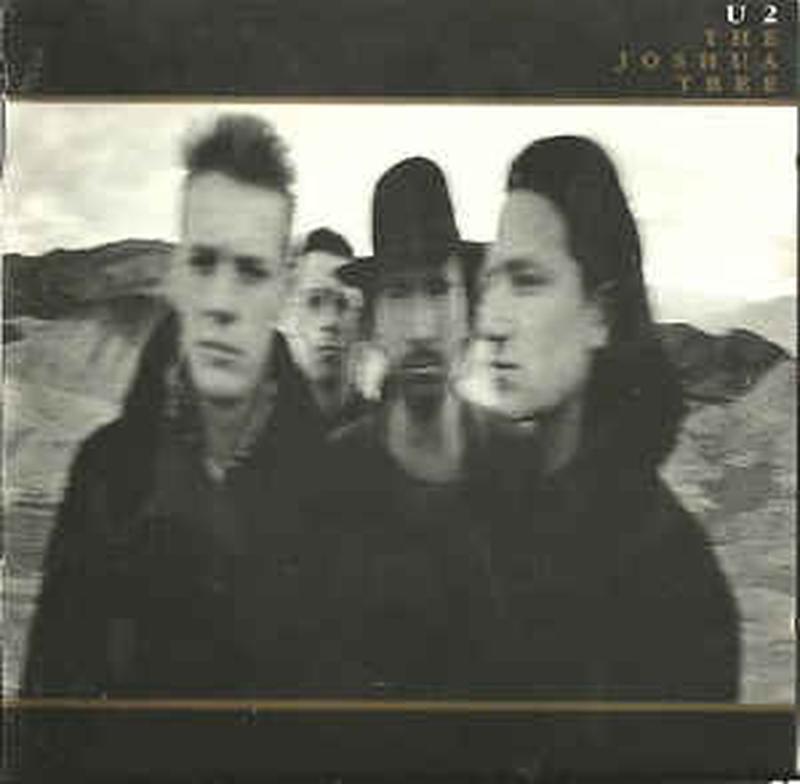 the-joshua-tree
