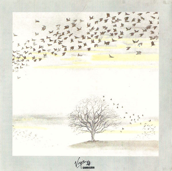 wind-&-wuthering