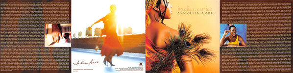 acoustic-soul