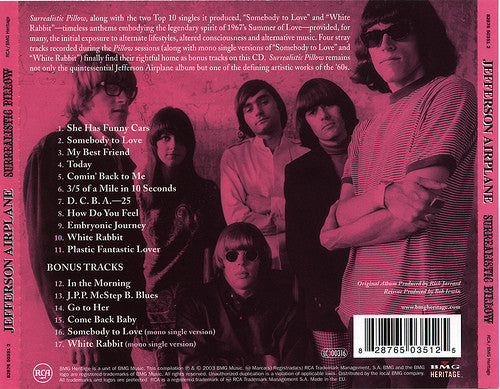 surrealistic-pillow