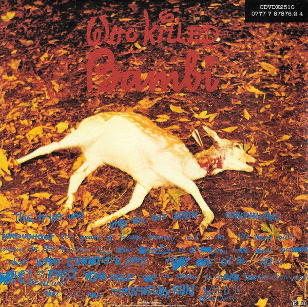 the-great-rock-n-roll-swindle