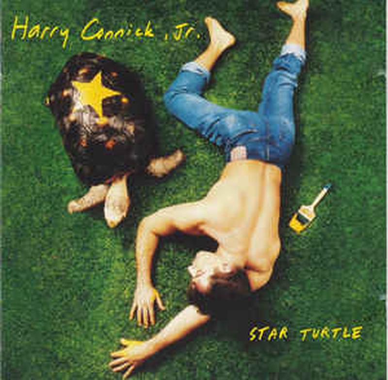 star-turtle