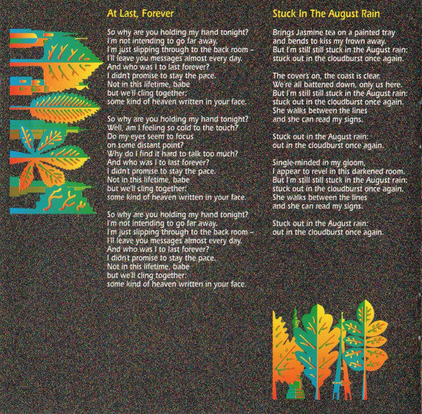 roots-to-branches