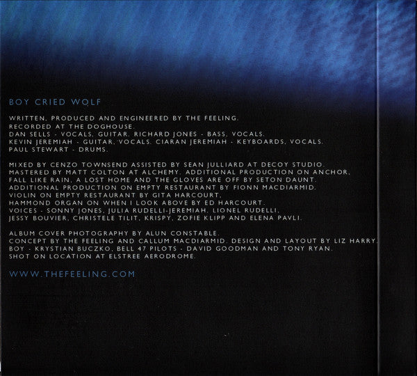 boy-cried-wolf