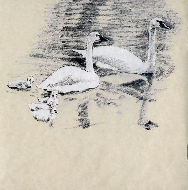 seven-swans