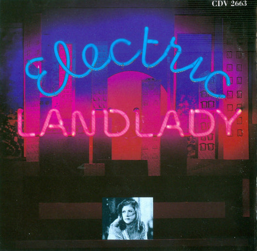 electric-landlady
