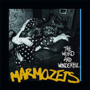 the-weird-and-wonderful-marmozets