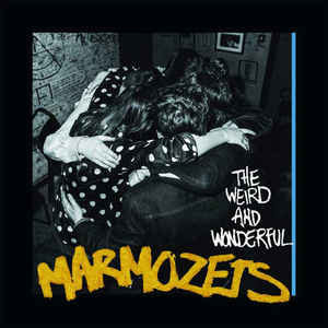 the-weird-and-wonderful-marmozets