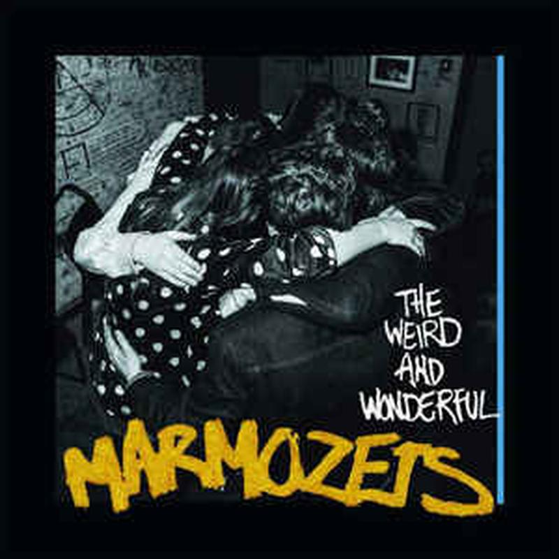the-weird-and-wonderful-marmozets