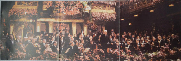 neujahrskonzert-in-wien