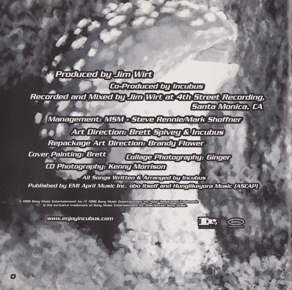 fungus-amongus