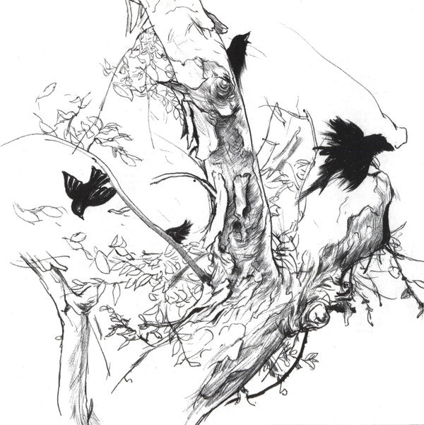 garden-ruin