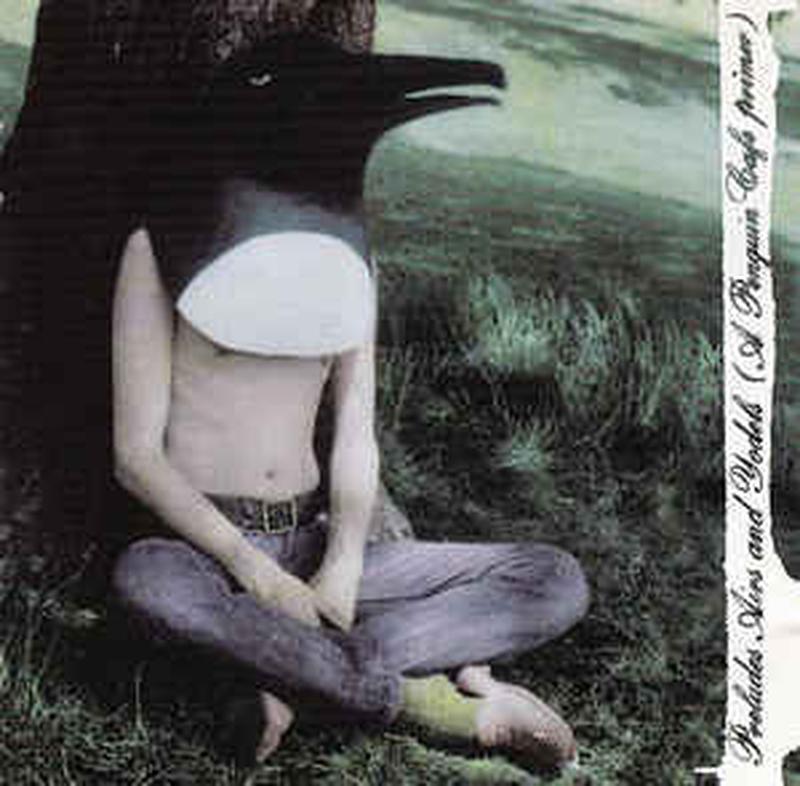 preludes,-airs-&-yodels-(a-penguin-cafe-primer)