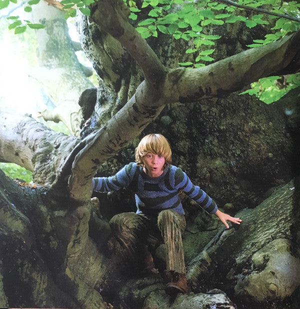 into-the-woods
