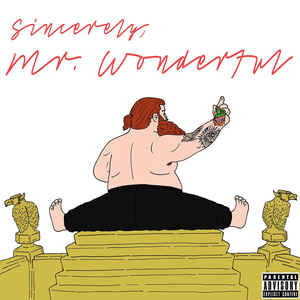 mr.-wonderful