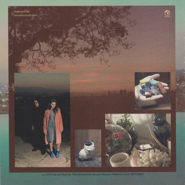 california-nights