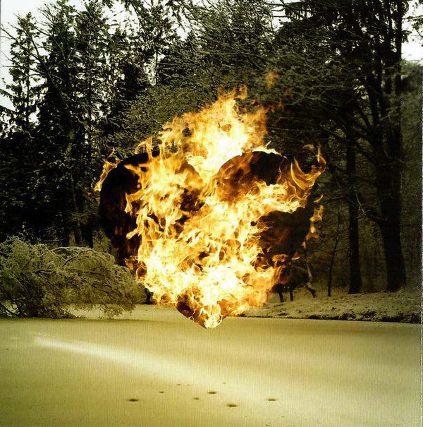 rest-inside-the-flames