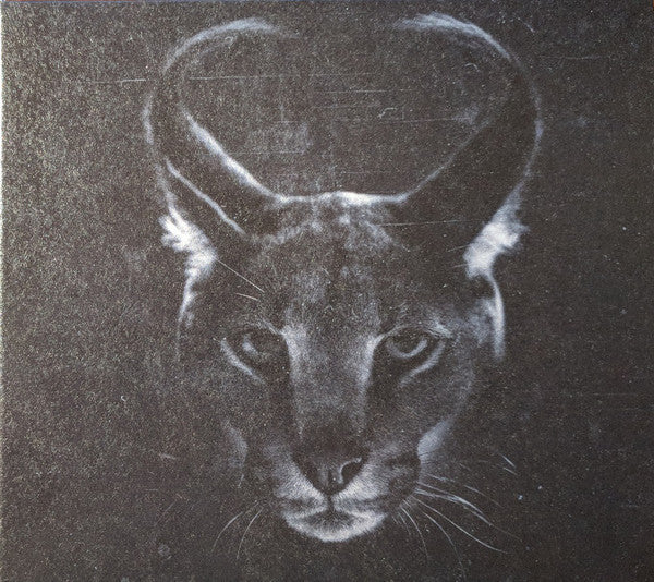 caracal