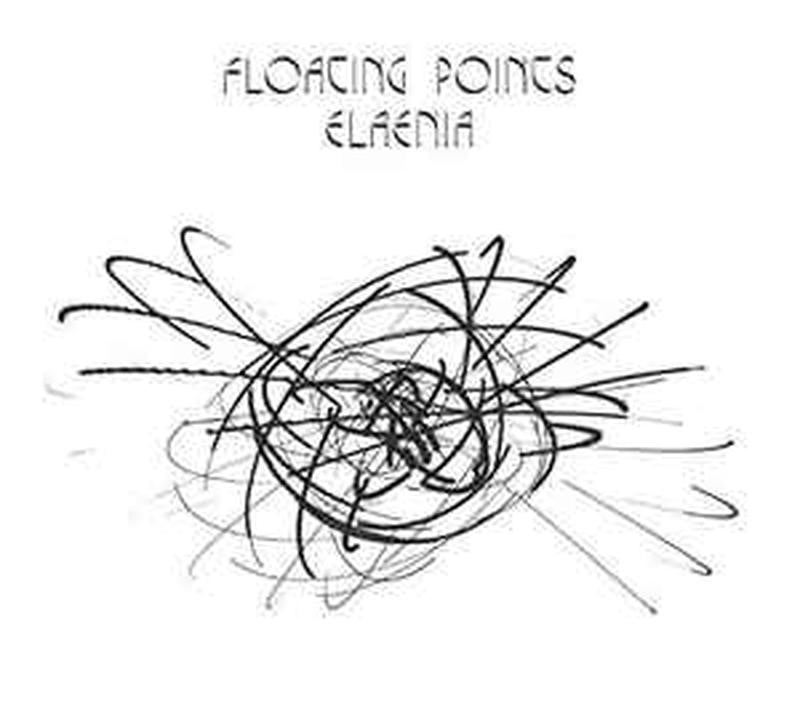 elaenia