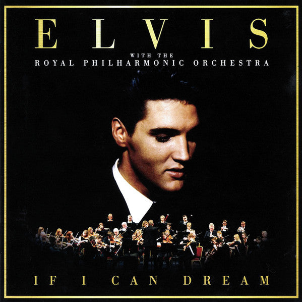 if-i-can-dream