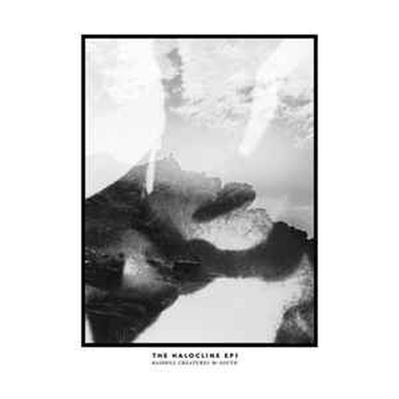 the-halocline-eps---bashful-creatures-/-south