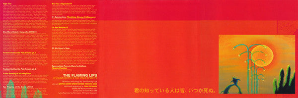 yoshimi-battles-the-pink-robots