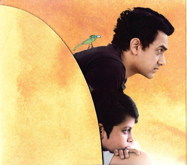taare-zameen-par-(every-child-is-special)